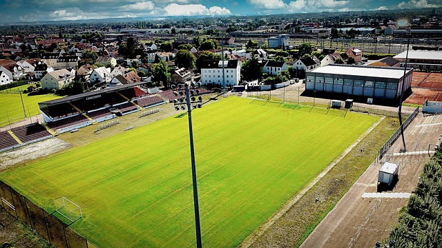 无论是年轻 无论是年轻