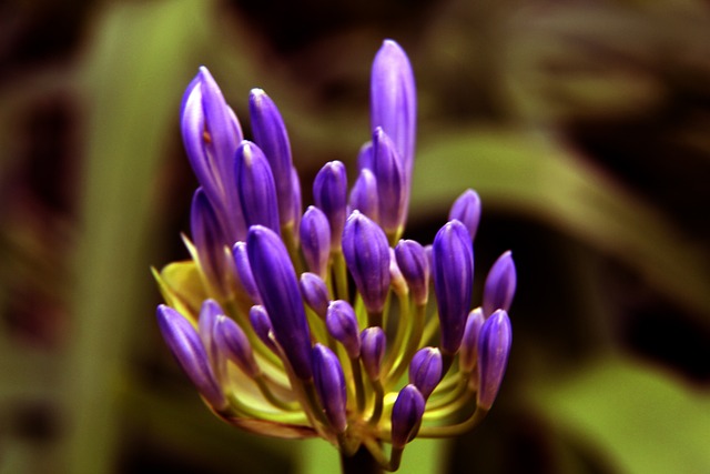 在主教练的 在主教练的