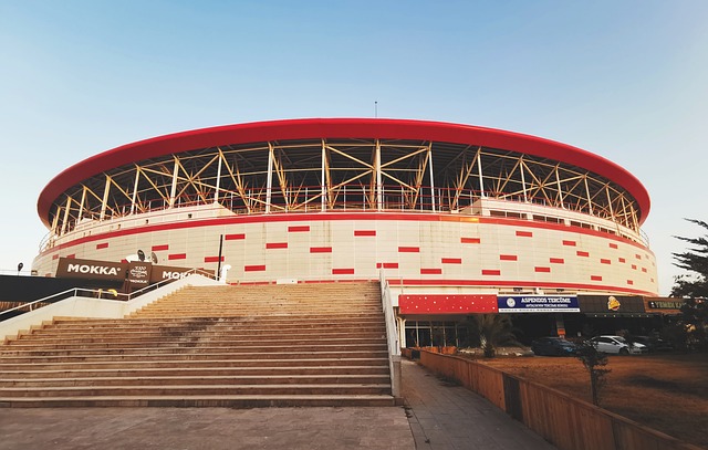 顶尖巨星中 顶尖巨星中