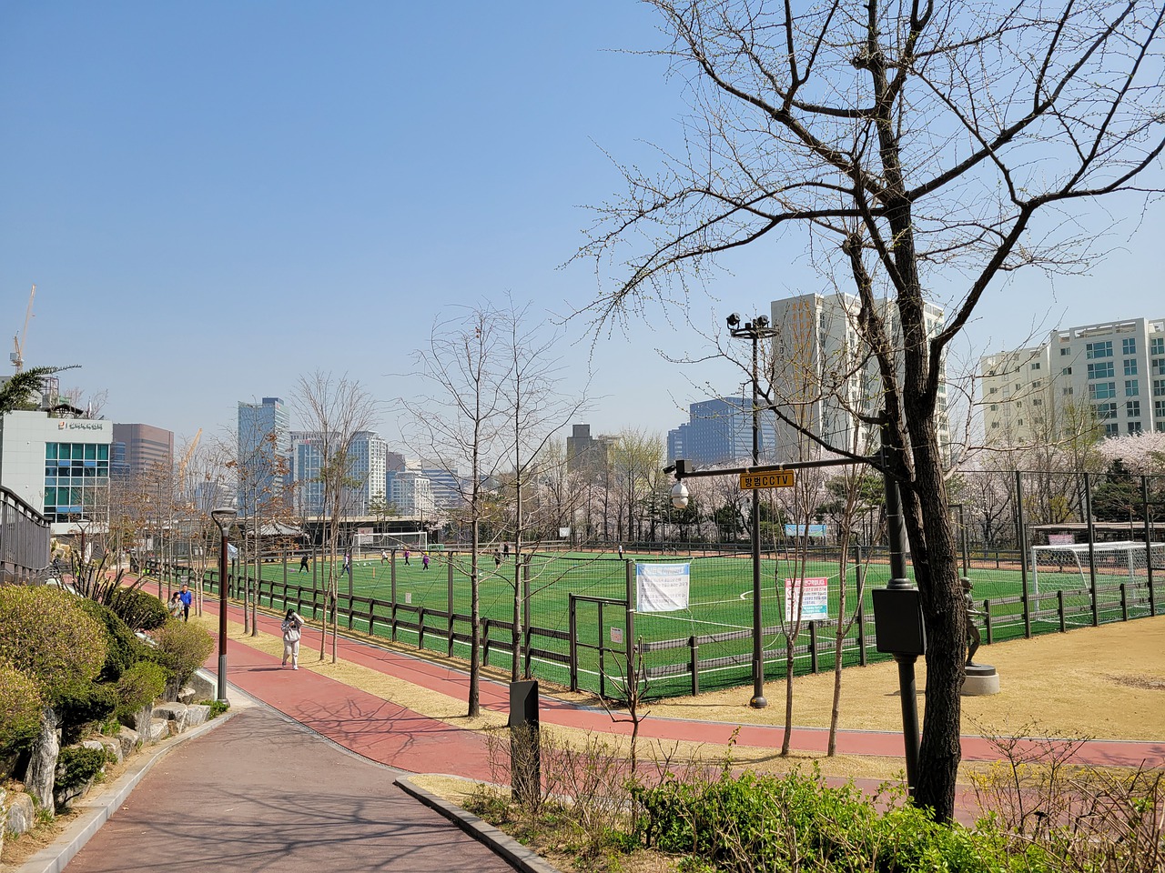 更因为Sa 更因为Sa