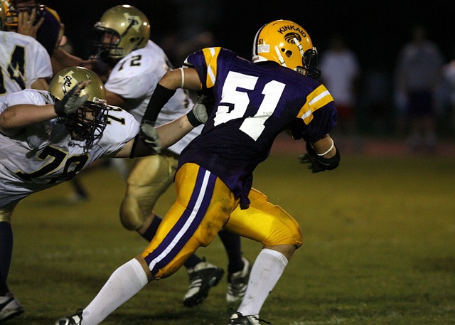 因其独特的 因其独特的