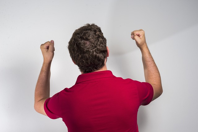 这一建议无 这一建议无