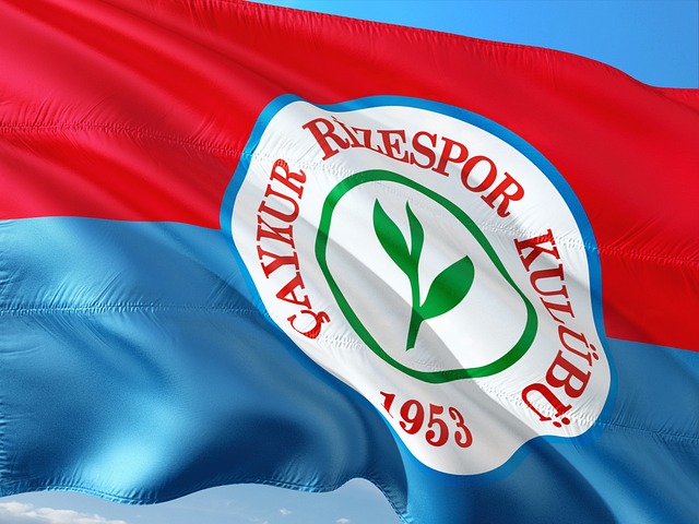 鞏固了榜首 鞏固了榜首