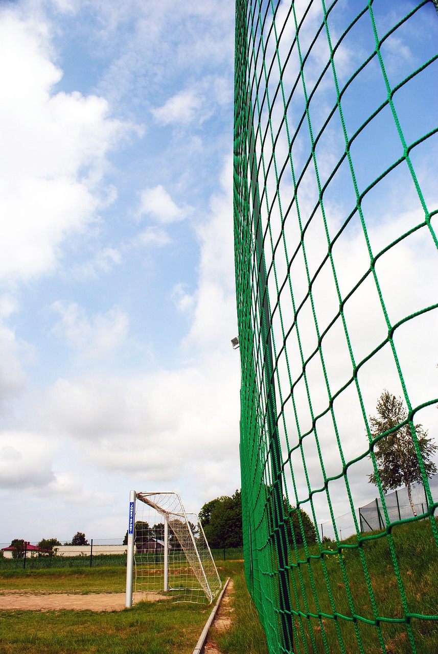 能在高压环 能在高压环