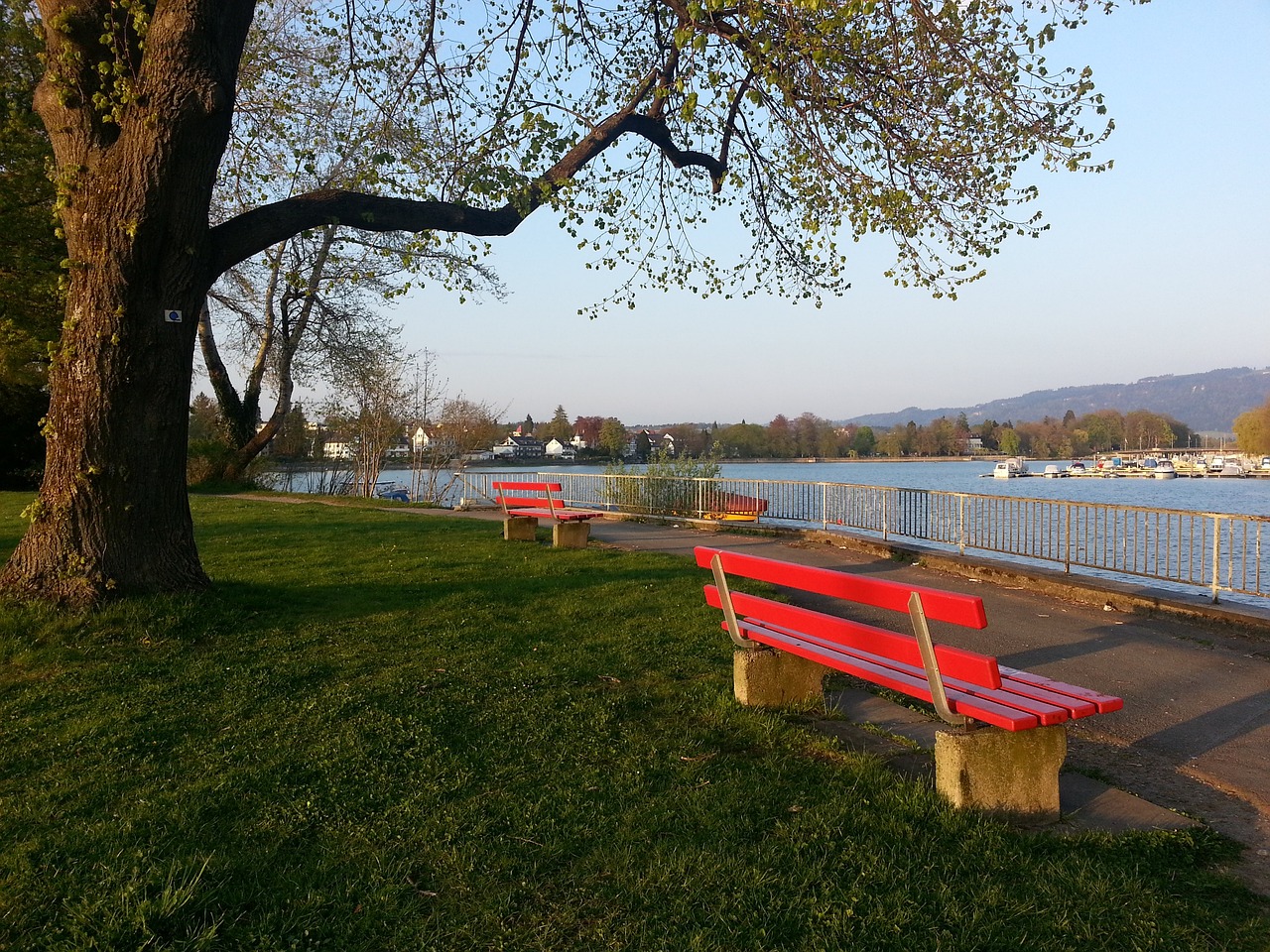 拼抢精神 拼抢精神