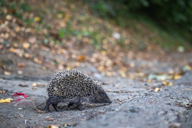 他的一举一 他的一举一